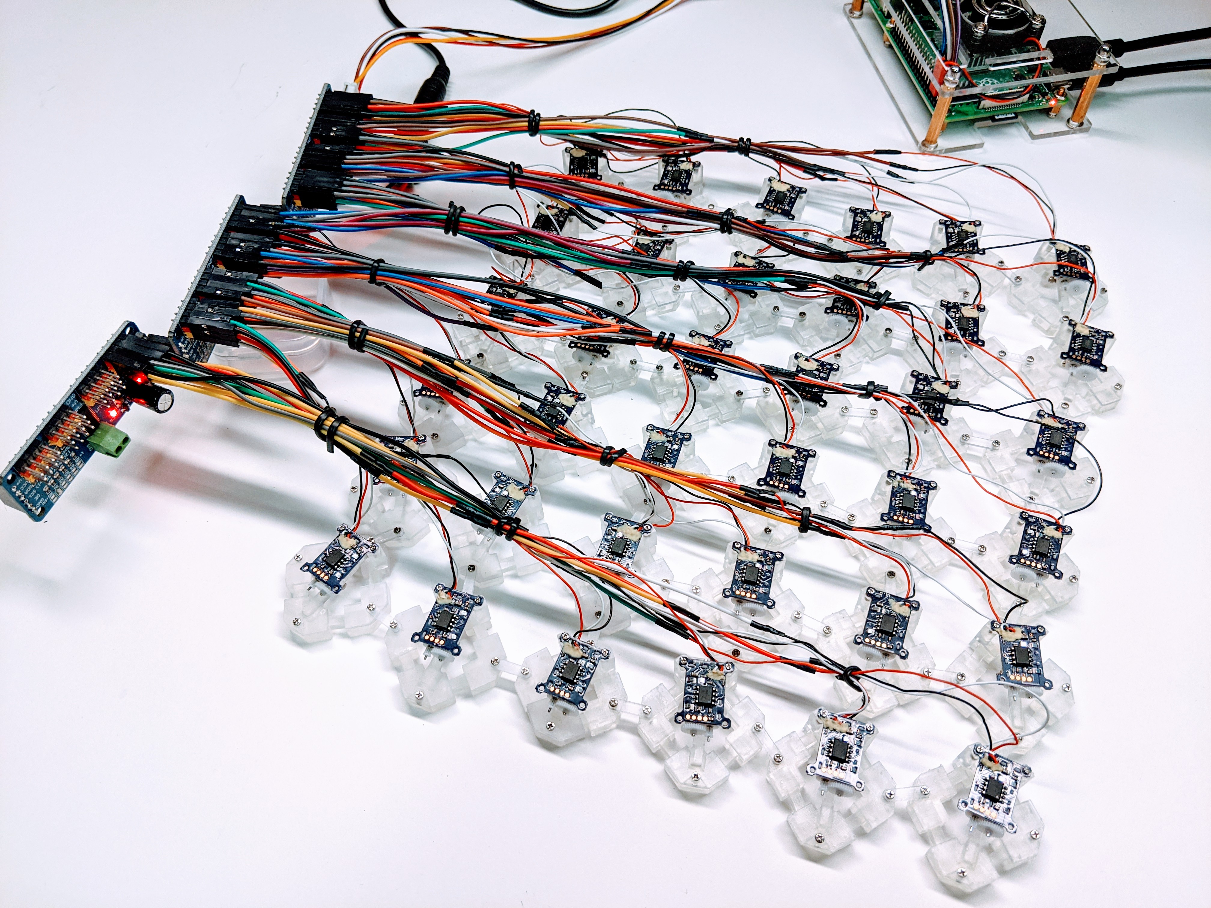 2D artificial muscle tissue